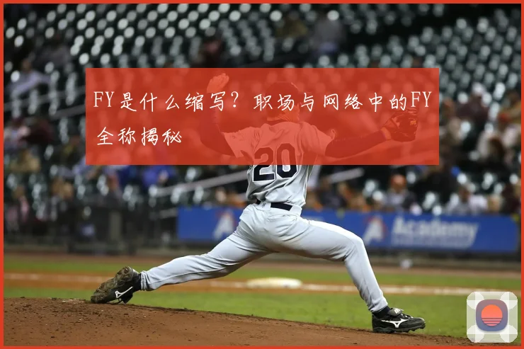 FY是什么缩写?职场与网络中的FY全称揭秘