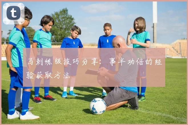 马刺练级技巧分享:事半功倍的经验获取方法