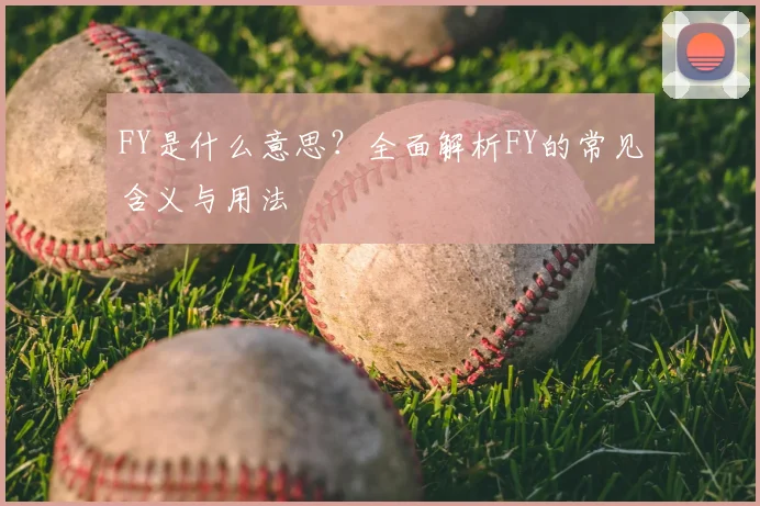 FY是什么意思?全面解析FY的常见含义与用法